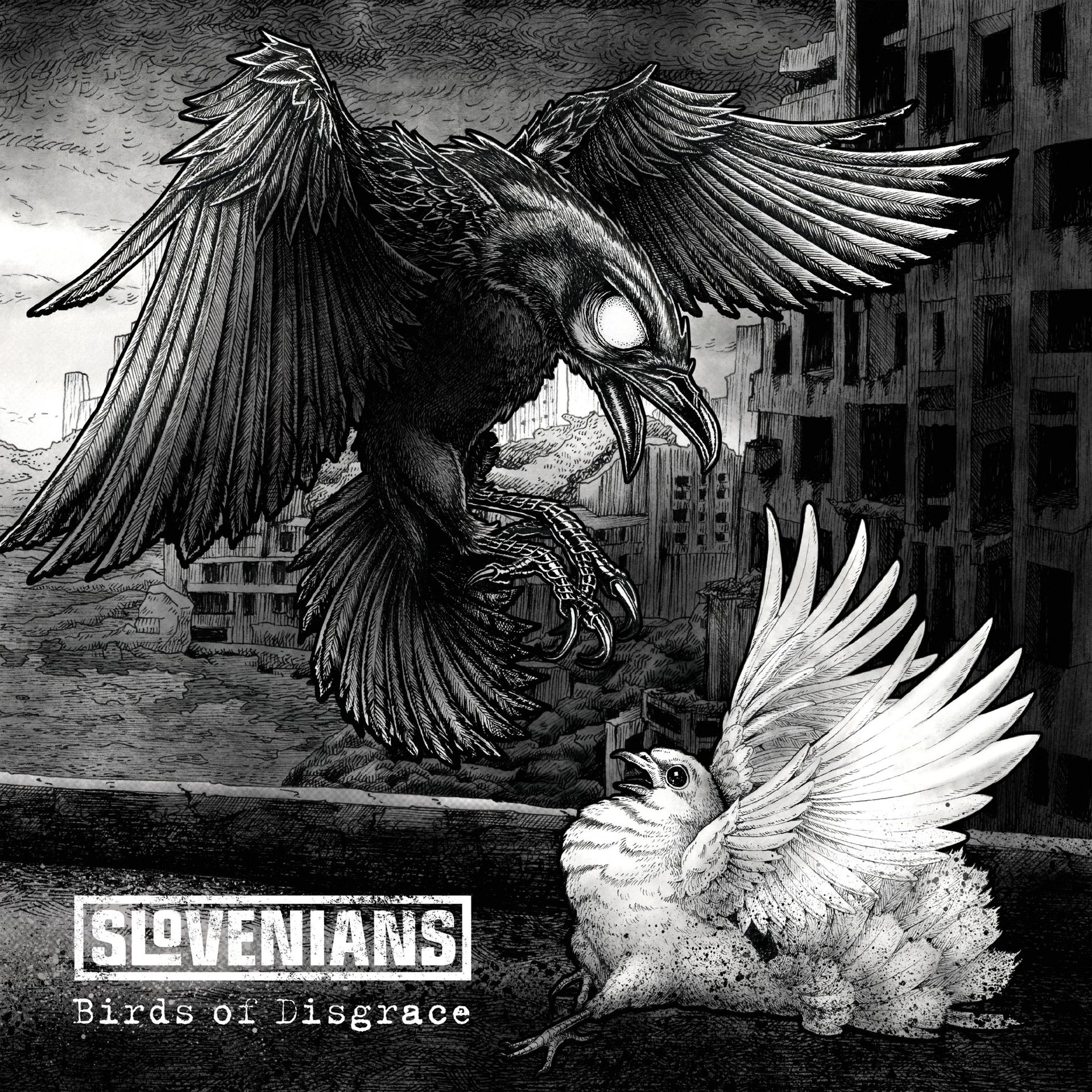 Slovenians — Birds of Disgrace album cover
