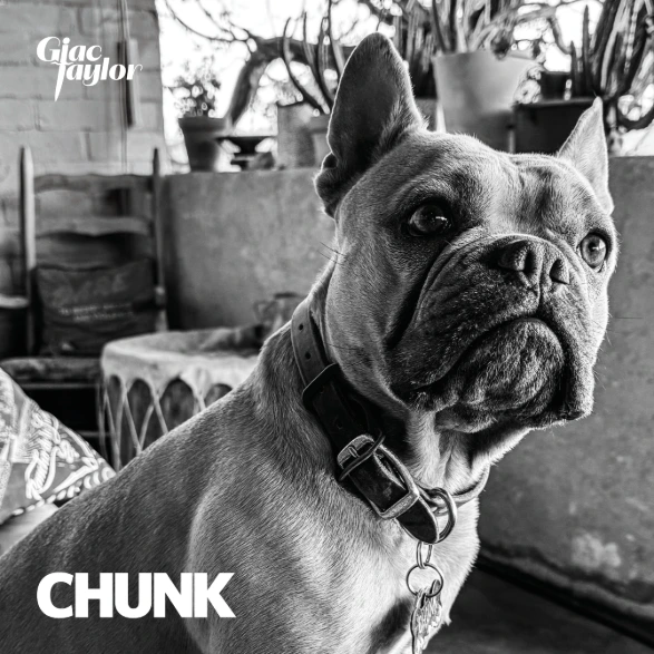 GIAC TAYLOR - CHUNK