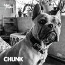 GIAC TAYLOR - CHUNK